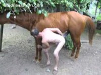 Skinny fuck-hungry man is having intercourse with his friend's horse